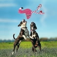 thumbnail image 2 of Plush Dog Toy, Squeaky Dog Toys Interactive Stuffed Dog Toys With Crinkle Paper, Cute Durable Dog Ch, 2 of 5