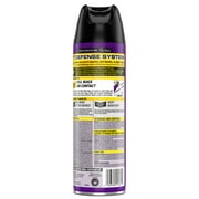 Raid Flea Killer, Kill Fleas & Ticks on Dogs at Home, 16 oz
