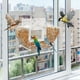 thumbnail image 1 of Comederos para pájaros, comedero para colibríes, comedero transparente único. Un comedero, 1 of 5