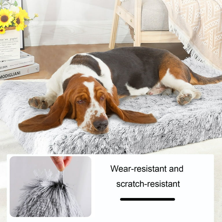 Plush Orthopedic Dog Bed With Waterproof Cover Anti slip Egg - Temu