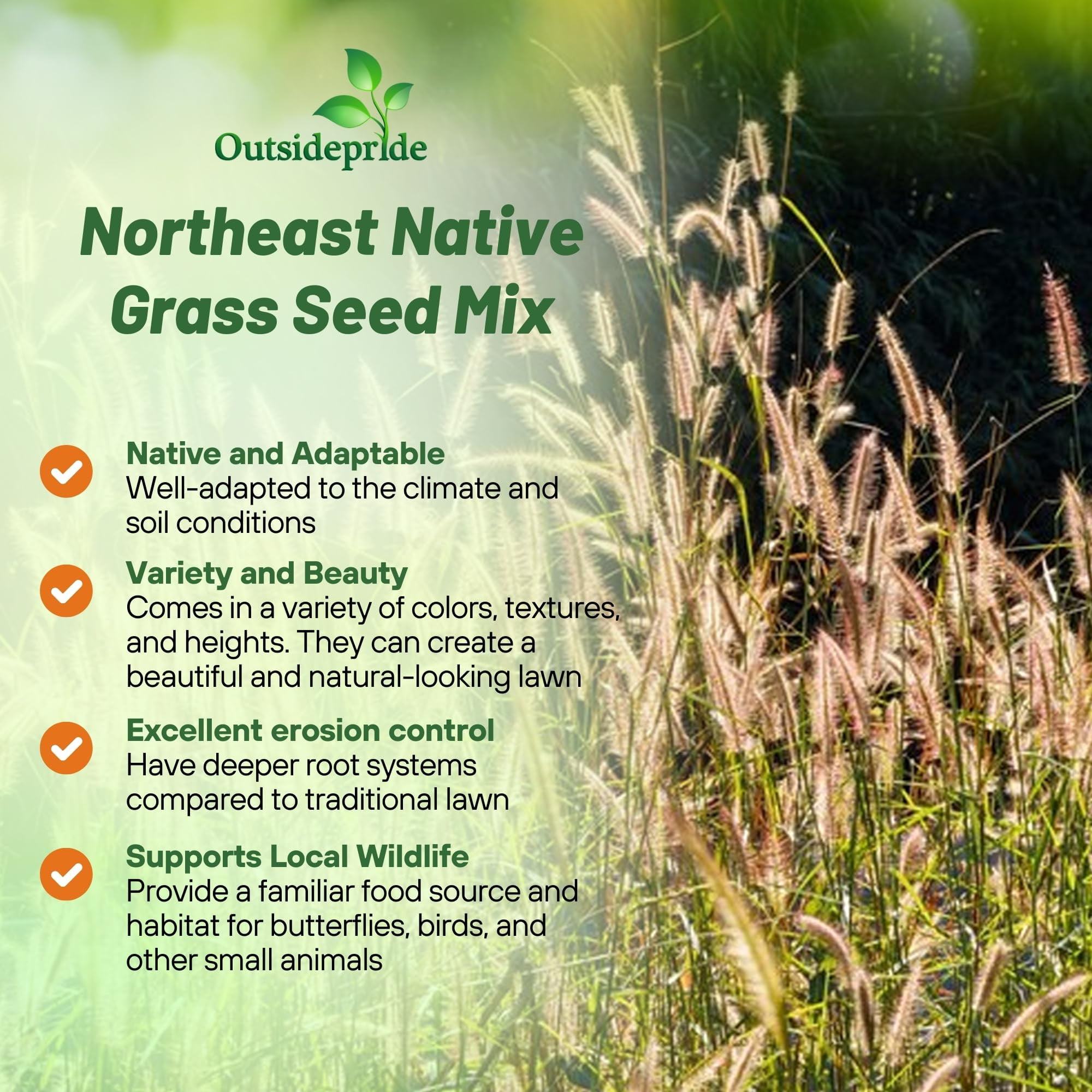 Outsidepride 1 lb. Perennial Northeast Native Grass Seed Mix of Warm & Cool Season Grasses
