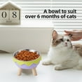 thumbnail image 6 of Elevated Cat Bowls, Raised Stainless Steel Cat Bowl with Cute Stand, 5.59in Wide Raised Food and Water Dish for Cats, Kitten, Puppies, 6 of 6