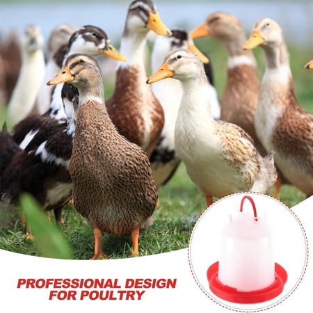 5L Poultry Waterer & Feeder Set Automatic Chicken Water Fountain & Feed Bucket for Chickens Ducks Farm Poultry Supplies