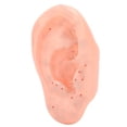 thumbnail image 3 of MODOLO DE ZONA DE OÍDOS, COMODO TOCANDO LA ZONA DEL OÍDO MODELO DE MASAJE ACUPINTS, 3 of 7