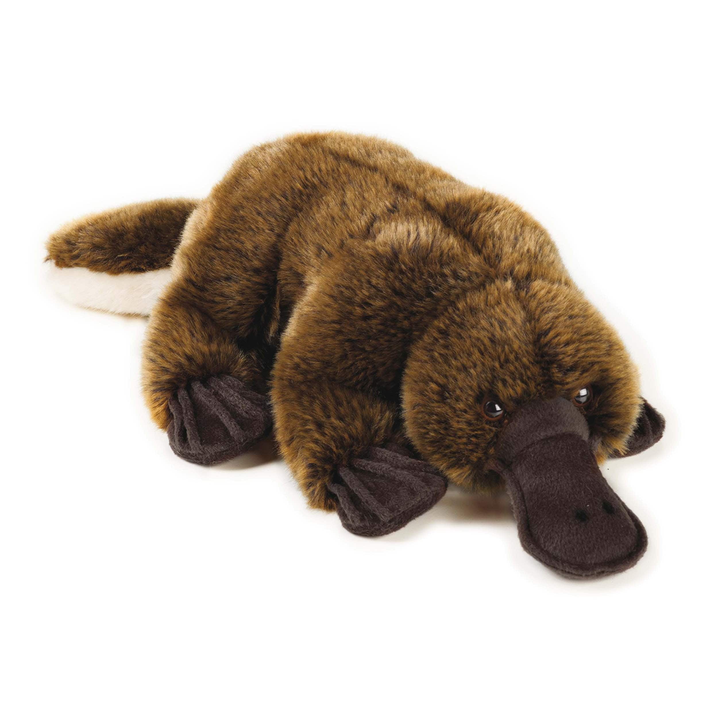 Stuffed Platypus Dog Toy | Wow Blog