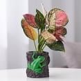 thumbnail image 3 of Bdday Resin Frogss Pen Bracket Flower Pot Cute Frogss Flower Pot Desktop Decoration Ornament Gift, 3 of 6