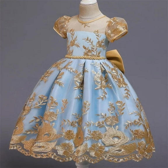Elegant Lace Embroidery Girl's Dress
