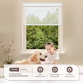 thumbnail image 5 of Allesin zen Free-Stop Cordless Solar Roller Shades for Windows, 5% Openness, White, 23"W x 72"H, 5 of 9