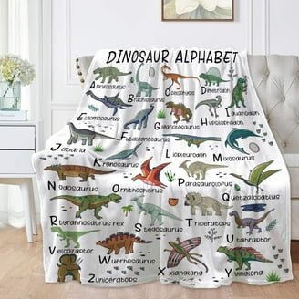 Fast Food Blanket ,Sandwich Print Throw Blanket 30x40 Inch,Delicious...