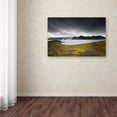 thumbnail image 4 of Trademark Fine Art 'Threat in the Sky' Canvas Art by Philippe Sainte-Laudy, 4 of 4