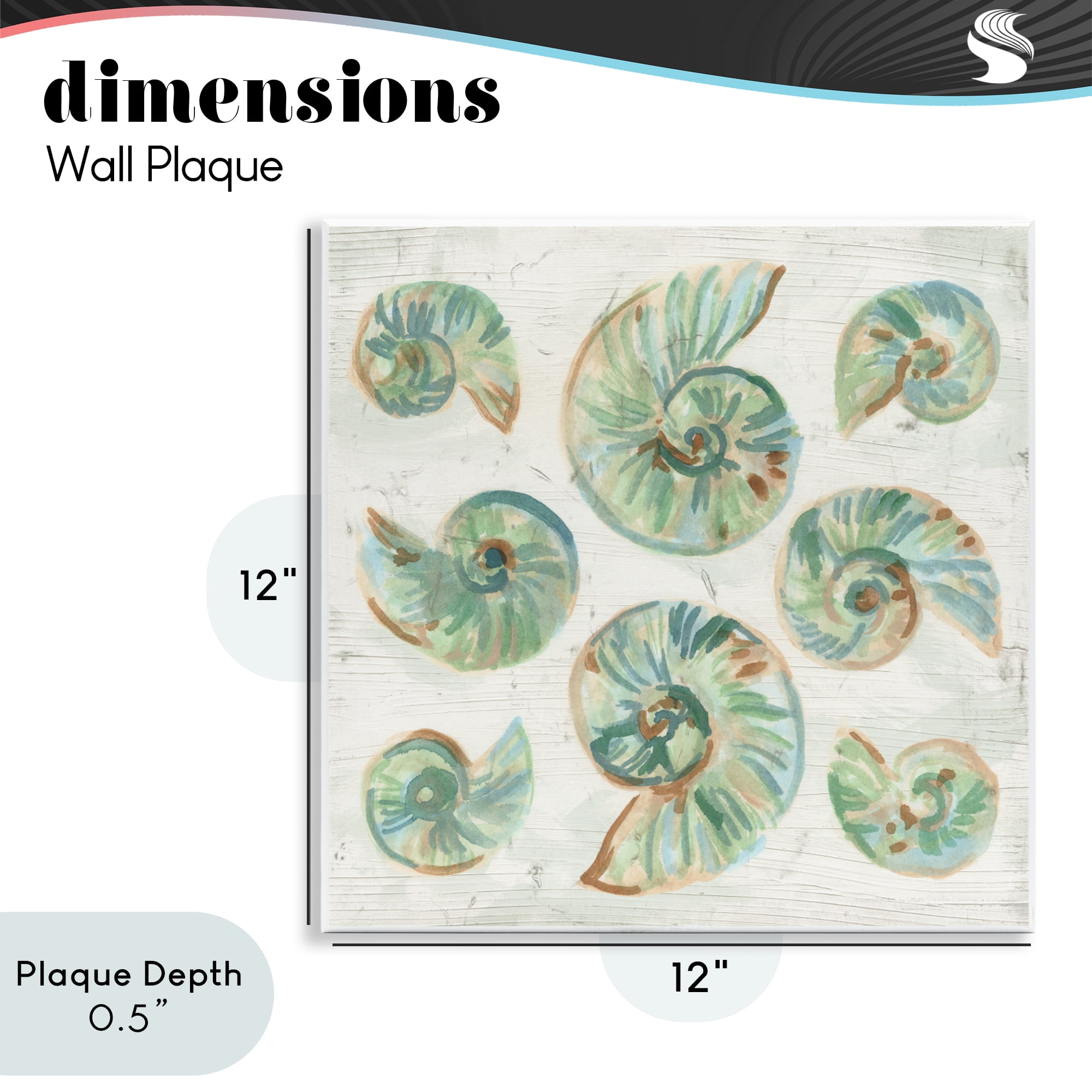 Stupell Industries Organic Saltwashed Shells Wall Plaque Art, design by June Erica Vess