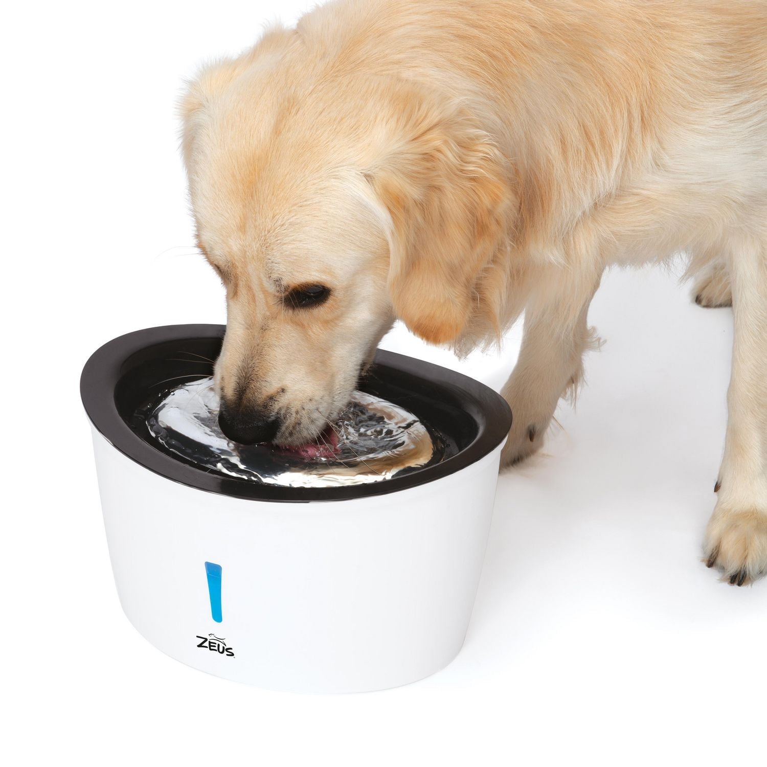 Zeus Cascade Dog Water Fountain, Stainless Steel, 6L