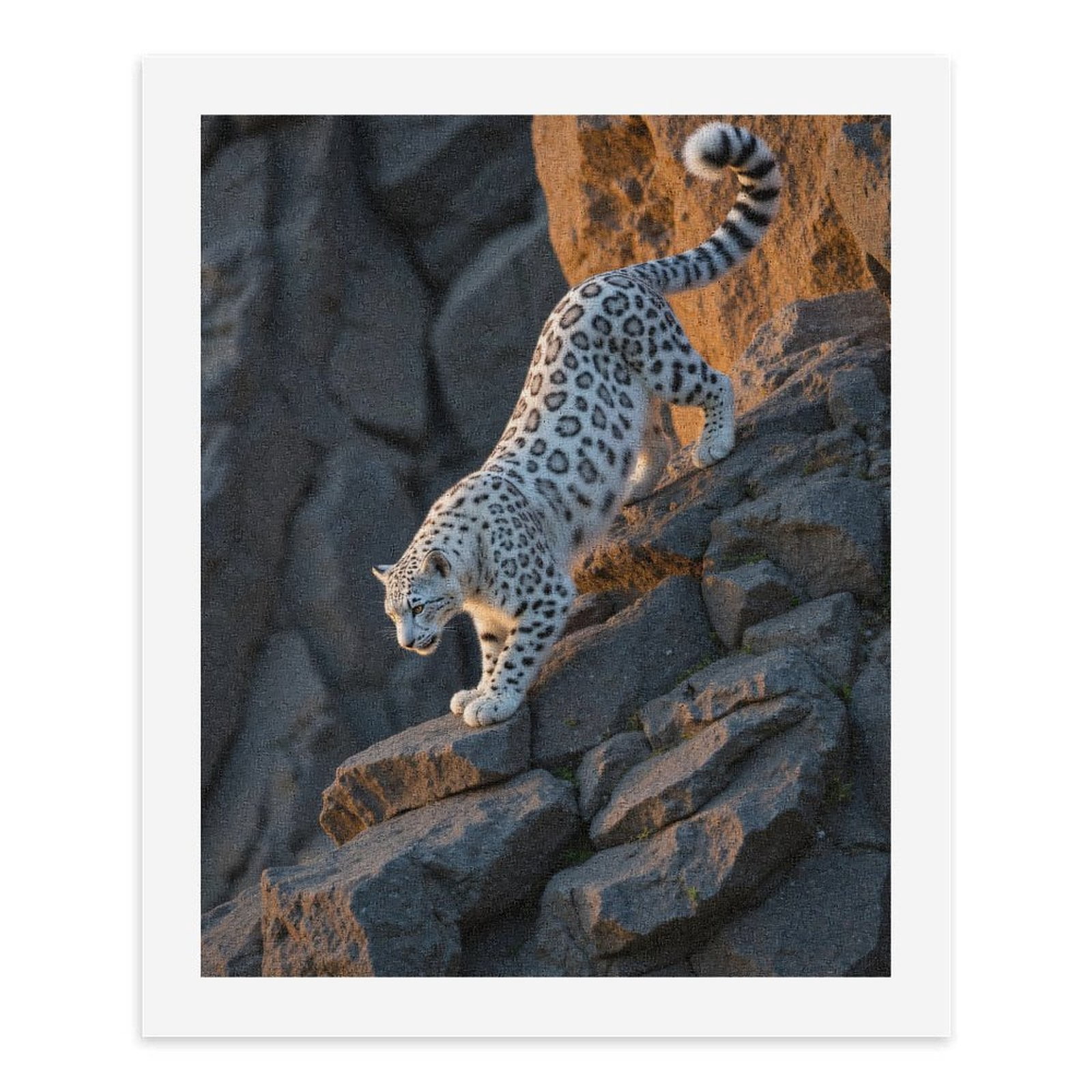 Paint by Numbers Kit for Adults, Snow Leopard Stepping Down Rocks Paint by Numbers, Easy Paint by Numbers Kit for Adults Beginner, DIY Adult Paint by Number Kits on Canvas, 12x16in Home Decor