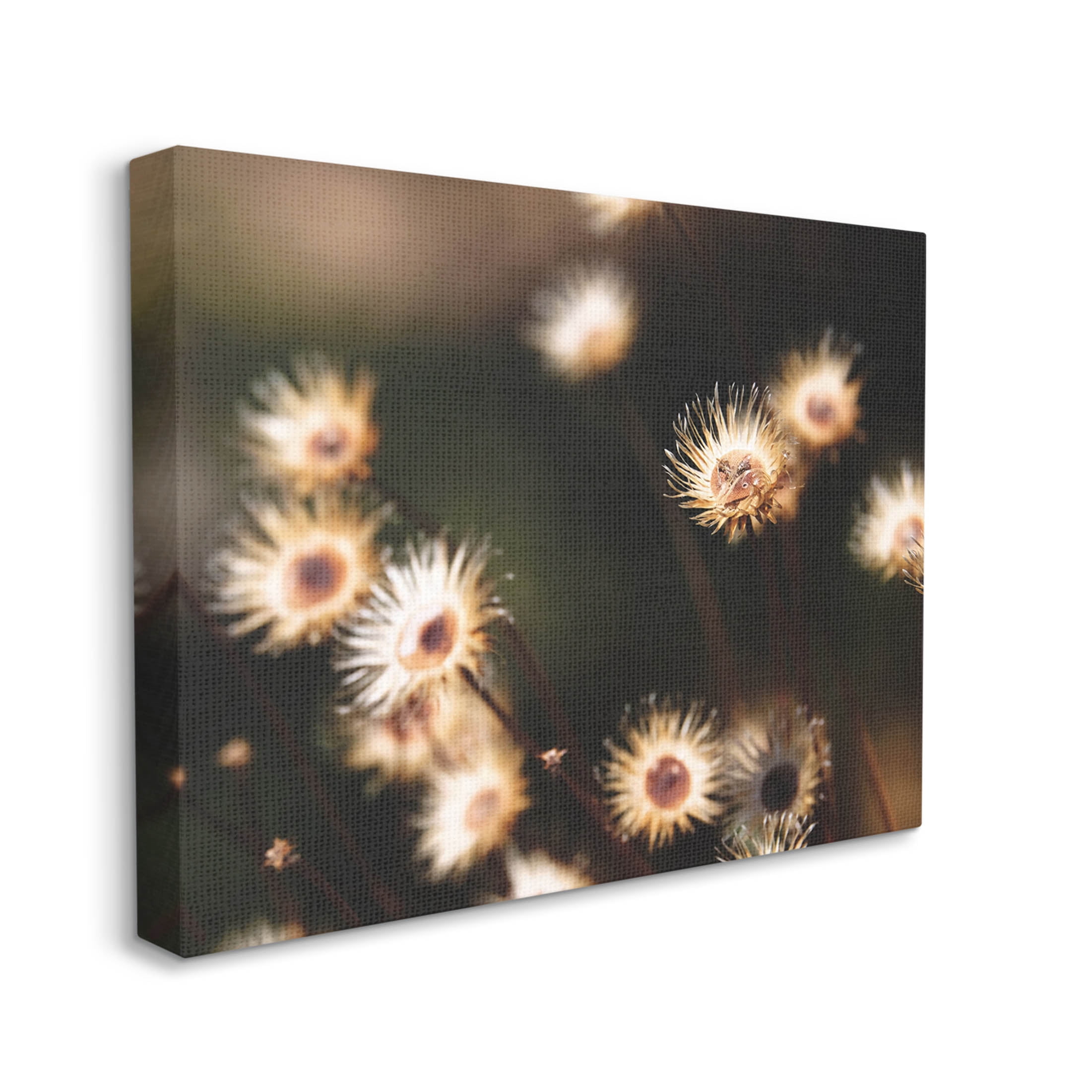 Stupell Industries Close Up Floral Buds Photograph Gallery Wrapped Canvas Print Wall Art, Design by Lil' Rue