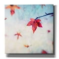 thumbnail image 1 of Epic Graffiti 'All Fall Down' by Dawn D Hanna, Giclee Canvas Wall Art, 26"x26", 1 of 6