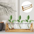 thumbnail image 3 of Shisuyan 1 Set Plant Propagation Stations with Metal Stand Tabletop Plant Terrarium Hydroponic Vase for Decor, 3 of 8