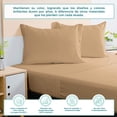 thumbnail image 2 of JGO DE SABANAS ESSENCE KHAKI KING SIZE Atlas del Descanso Spring Air Essence, 2 of 7