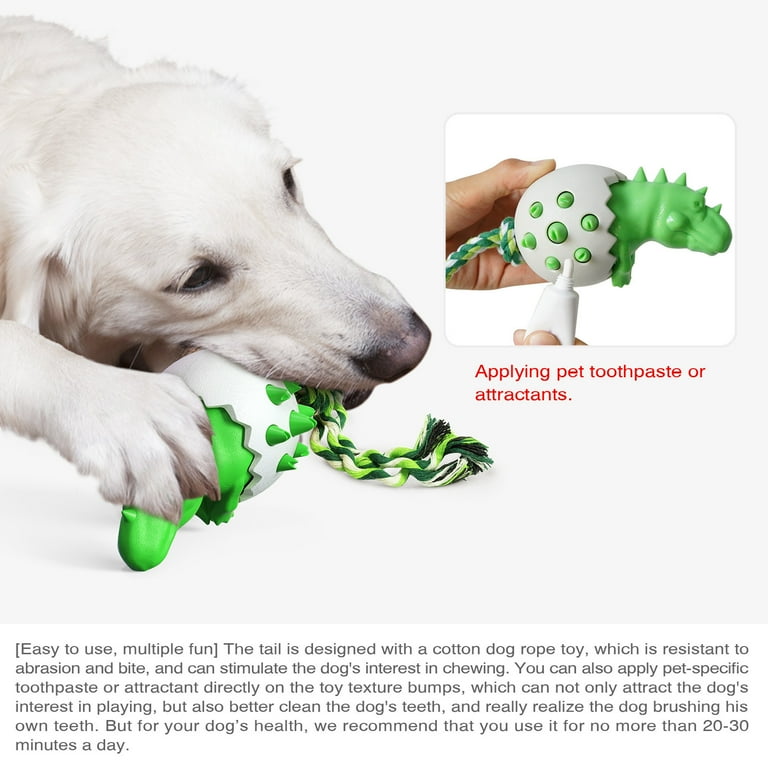 Dog toothpaste chew toy cheap