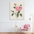 thumbnail image 2 of Stupell Industries Rosie Rose Floral Study Canvas Wall Art, design by Nan, 48 x 36, 2 of 7