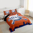thumbnail image 3 of Homewish Vintage Baseball Print Full Size Comforter Sets for Boy, Chocolate Blue Abstract Line Bedding Comforter Set, Cartoon Sports Theme Reversible Bedding Sets, Lightweight Room Decor, 3pcs, 3 of 8