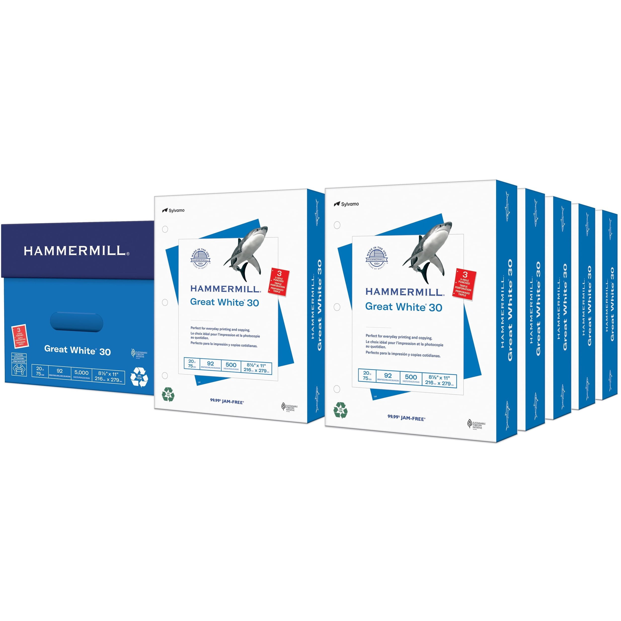 Hammermill Punched Copy Paper - For Laser, Inkjet Print - Letter - 8.50" X 11" - 20 Lb - Recycled - 3 X Hole Punched - 92 Brightness - 5000 / Carton - White (HAM86702)