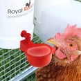 thumbnail image 4 of Vasos de agua automáticos ZHAOCHENG para POLLO y aves de corral, 4 of 5