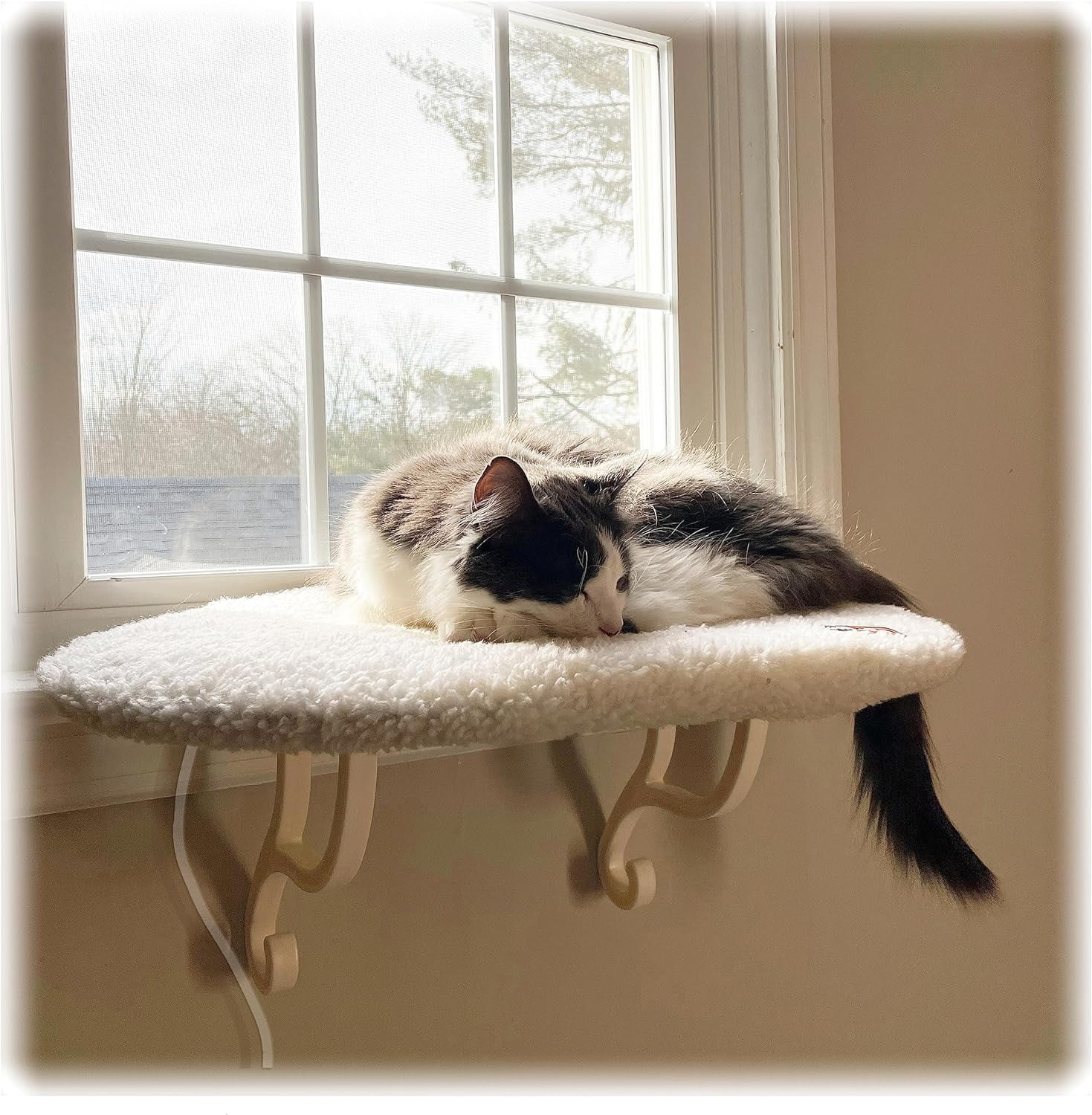 Kitty Sill Heated Cat Window Perch for Large Cats, Orthopedic Window Hammock Bed Holds 40LBS, Washable Cover, Kitty Windowsill Bed Seat for Indoors - Cream Fleece, Heated