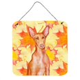 thumbnail image 1 of Pharaoh Hound Fall Wall or Door Hanging Prints, 6 x 6 in., 1 of 1