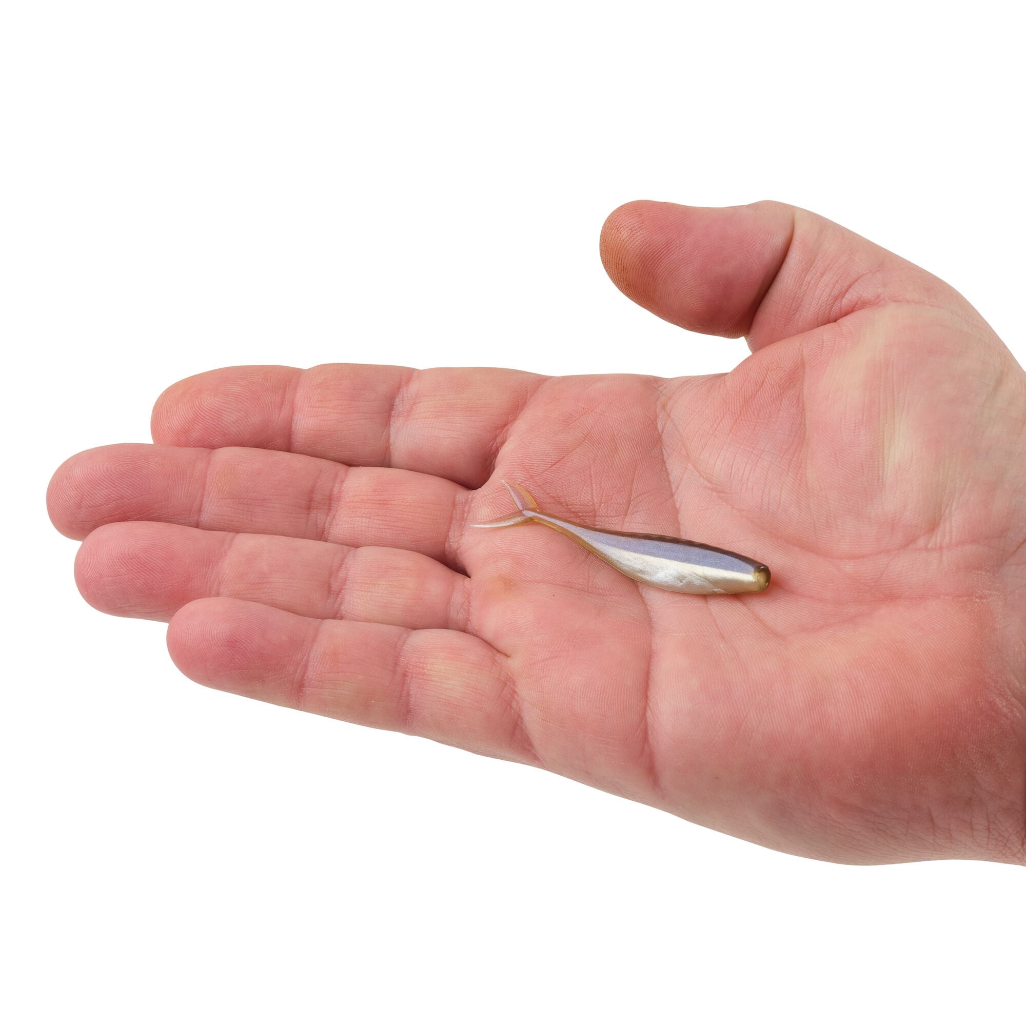 Berkley PowerBait® The Champ Minnow, 2.5 in, Minnows, Smelt (10 Count)