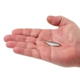 thumbnail image 3 of Berkley PowerBait® The Champ Minnow, 2.5 in, Minnows, Smelt (10 Count), 3 of 9