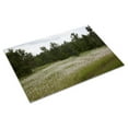thumbnail image 3 of Print: Rural Alabama, 2010, 3 of 4