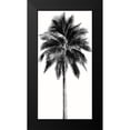 thumbnail image 2 of Blake, Madeline 11x18 Black Modern Framed Museum Art Print Titled - Palm Tree I, 2 of 5
