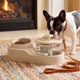 thumbnail image 6 of Cat Food Bowl and Water Fountain Set, 2 in 1 for Cats Dogs _ #07 _ Yellow _ B, 6 of 6
