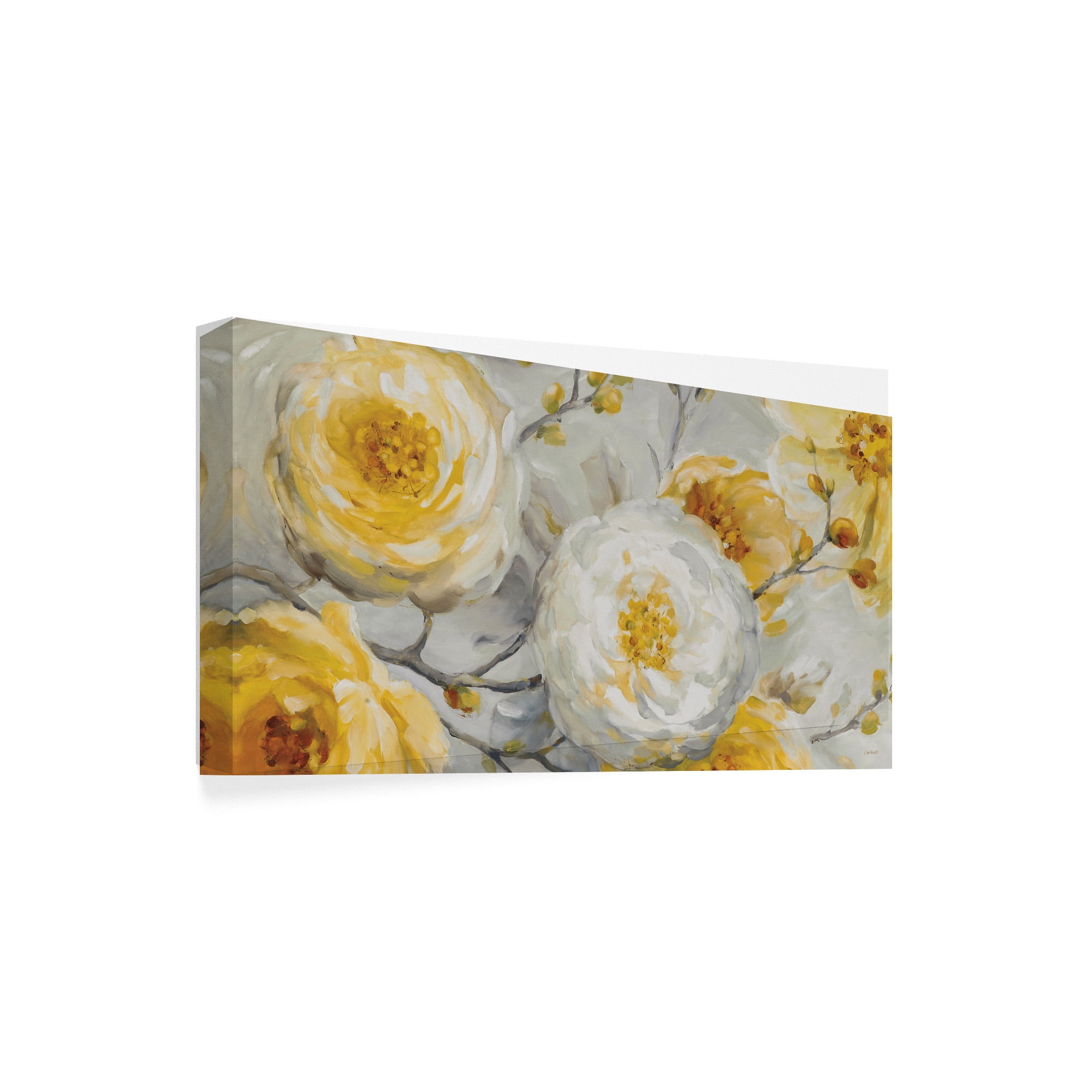 Trademark Fine Art 'Sunshine Roses Grey' Canvas Art by Lisa Audit