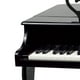 Hape Heureux Piano à Queue Tout-Petit Instrument de Musique en Bois - E0320 – image 2 sur 5
