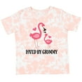 thumbnail image 3 of Inktastic Grammy Loves Me Flamingo Grandchild Girls Toddler T-Shirt, 3 of 5