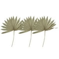 thumbnail image 1 of Ramo seco secas, decoración de grandes ramas de plantas bohemias de , ramo tropical para aniversario, jarrón piezas 65 cm Fanmusic Ramo seco, 1 of 7