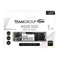 thumbnail image 2 of Team Group MS30 - SSD - 1 TB - internal - M.2 2280 - SATA 6Gb/s, 2 of 2