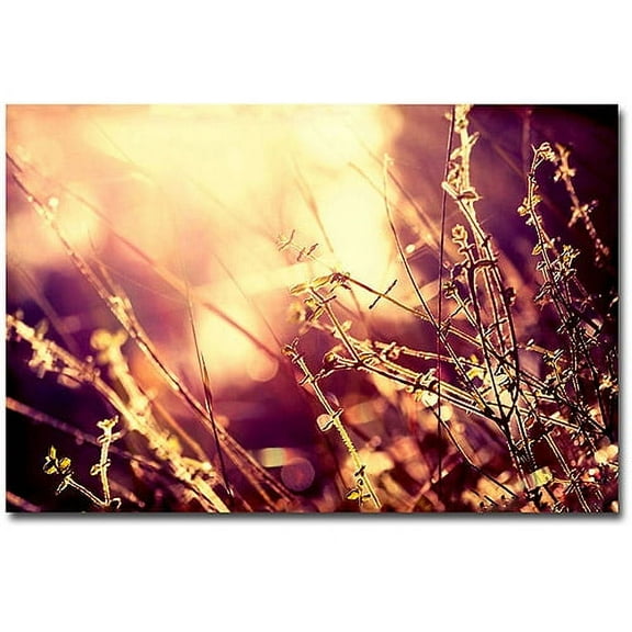 Trademark Fine Art Beata Czyzowska Young The Show is On Canvas Wall Art - 16x24