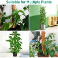 thumbnail image 4 of 31.4 Inch Moss Pole Monstera - 2 Totem Moss Poles for Climbing Plants - Coir Moss Totem Poles Plant Stakes and Sticks - Support Indoor Plants to Grow Upwards, 15.7 Inch Individual, 4 of 9
