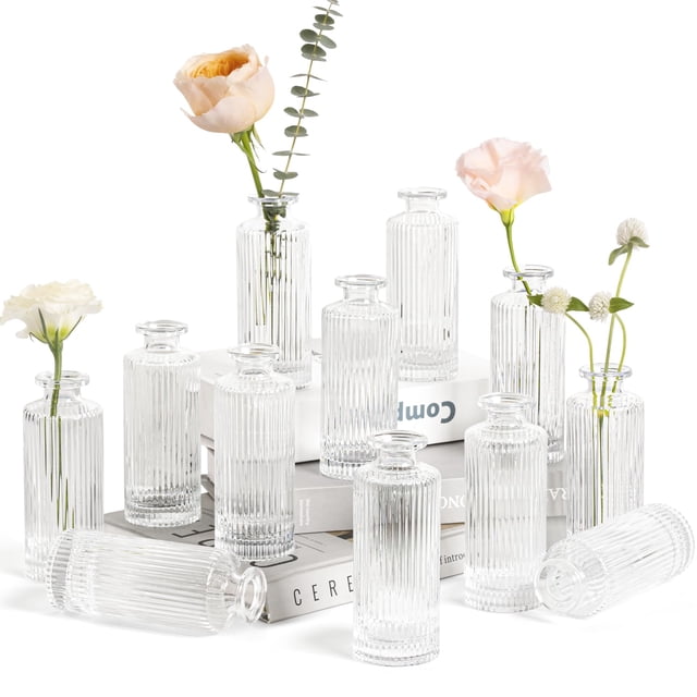 Jarrones de cristal ComSaf, 12 unidades, decorativos vintage, transparentes