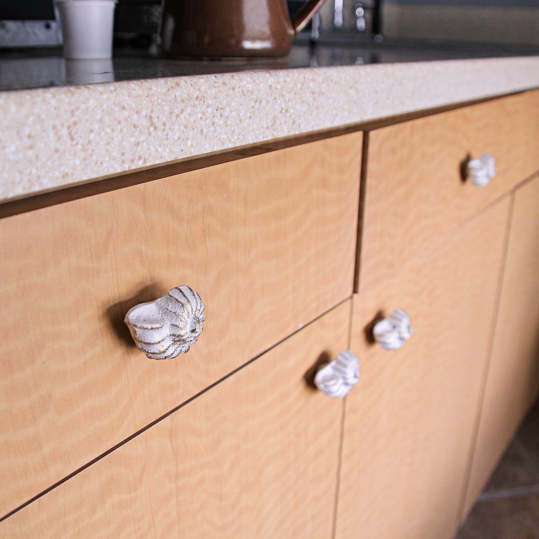 Zeckos White Cast Iron Nautilus Shell Cabinet Drawer Pull Set of 6
