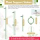 thumbnail image 3 of 30 Estacas Ajustables para Soporte de Plantas, Estaca de Soporte de Tallo úNico para JardíN con Clips para Plantas y Tubo de ConexióN de 11,8 Pulgadas, 3 of 5