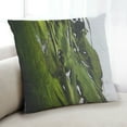 thumbnail image 1 of Ahgly Company Color Focus Green Indoor Throw Pillow, 18 inch by 18 inch, 1 of 6