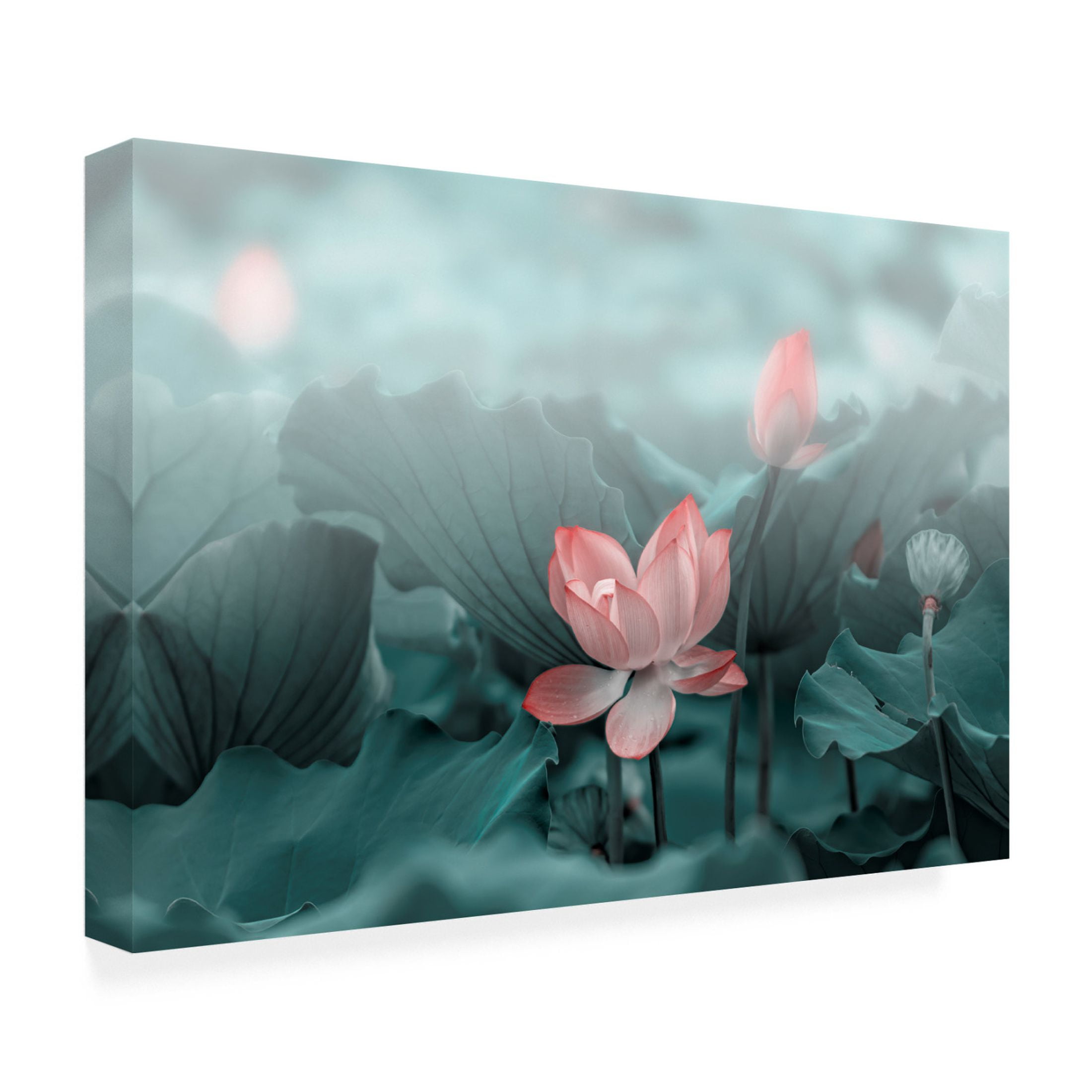 Trademark Fine Art Betty Liu Lotus Flower and Bud Canvas Wall Art