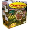 Carnivorous Creations - Plant Growing Kit