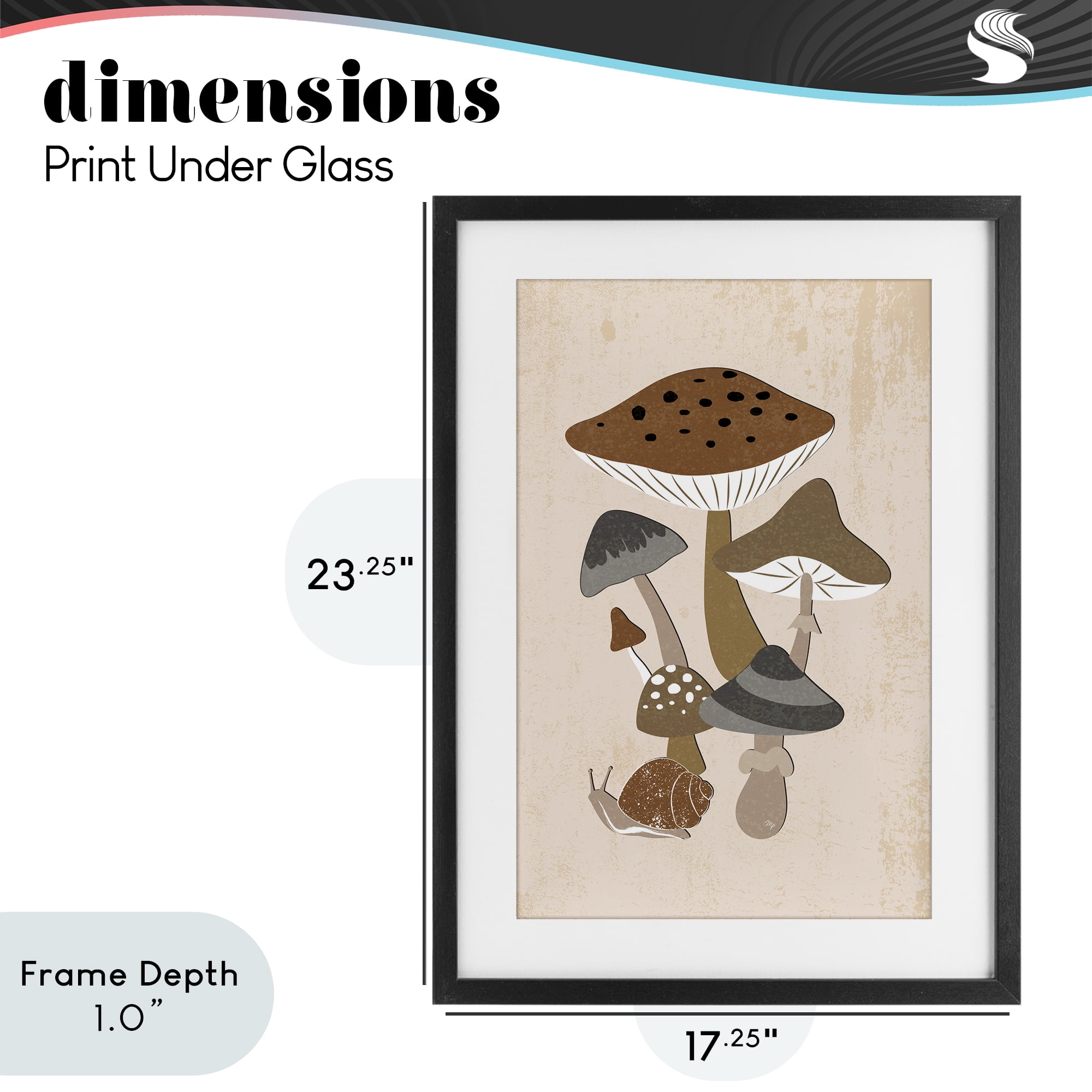 Stupell Industries Earthy Fungi Mushrooms & Snail Black Framed Print Under Glass, design by Martina Pavlova
