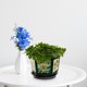 thumbnail image 4 of KAKOWELY 1Jgo Maceta Hexagonal Para Bonsái Y Plantas De Interior En Plástico Color Café Resistente, 4 of 6