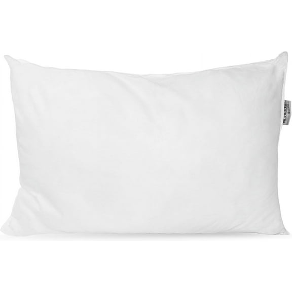 Pillowtex Queen Size Ultra-Thin Polyester Lite Pillow for Sleeping Flat and Low Pillow for Stomach and Back Sleepers