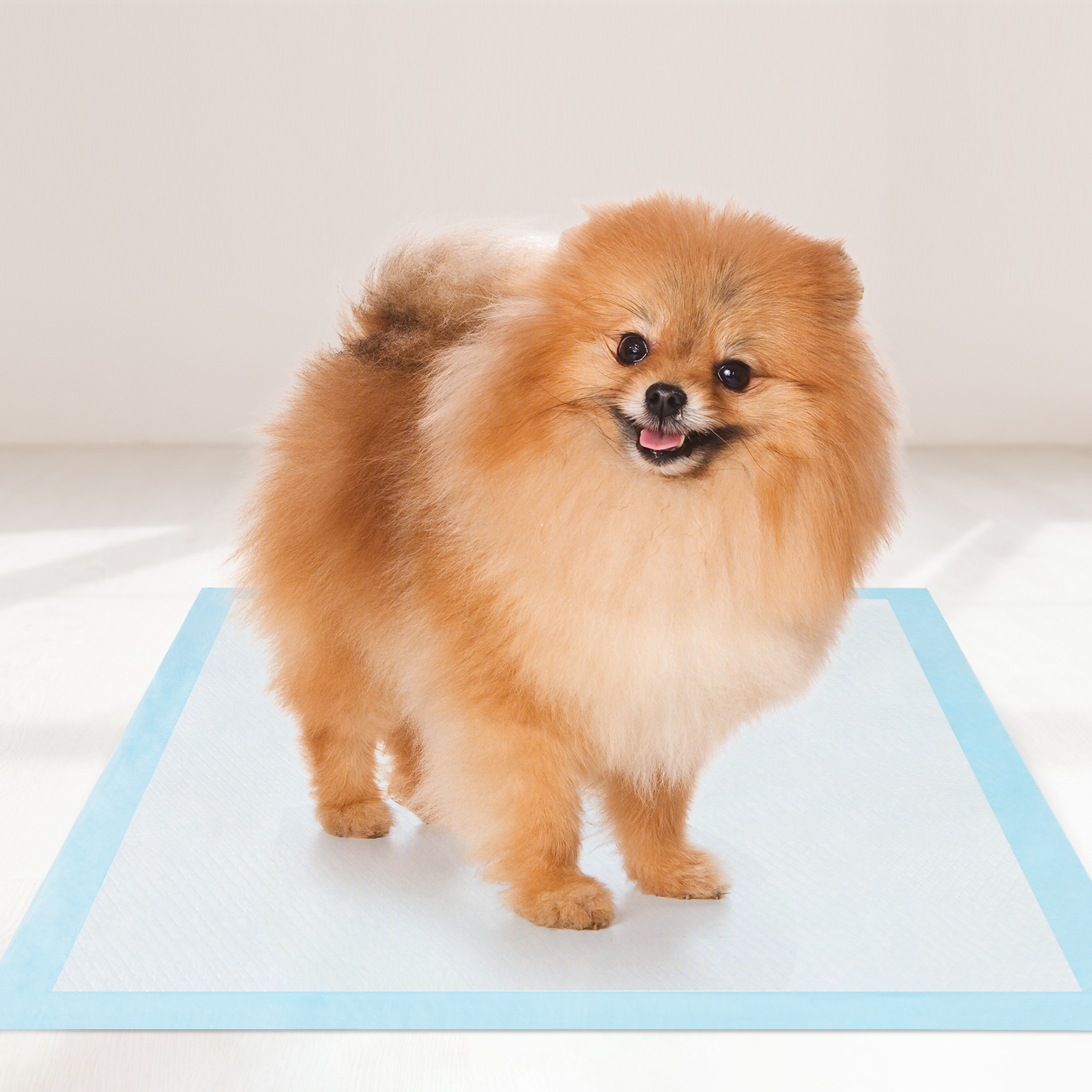 Gymax 18''x 13''(300 Counts) Dog Potty Training Pads Puppy Pee Pads w/ Quick-Drying